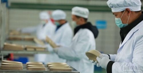 忠县造 竹纤维餐具获第四届中国 上海 国际竹产业博览会金奖